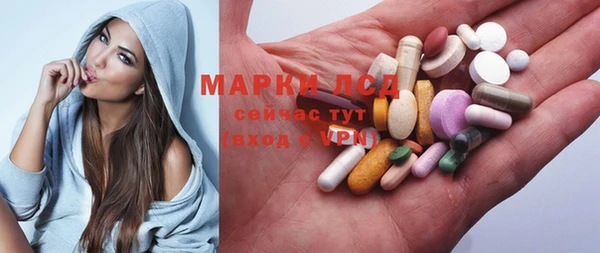 прущие грибы Алексин