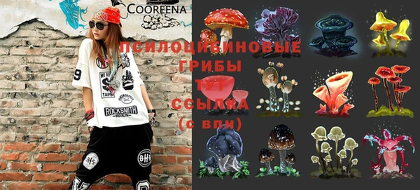 прущие грибы Алексин