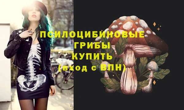 бошки Алзамай