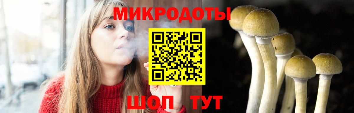 Псилоцибиновые грибы Psilocybe Красный Сулин