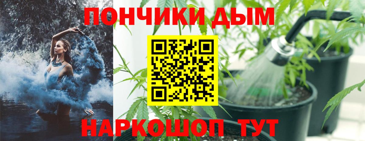 Канабис конопля Красный Сулин